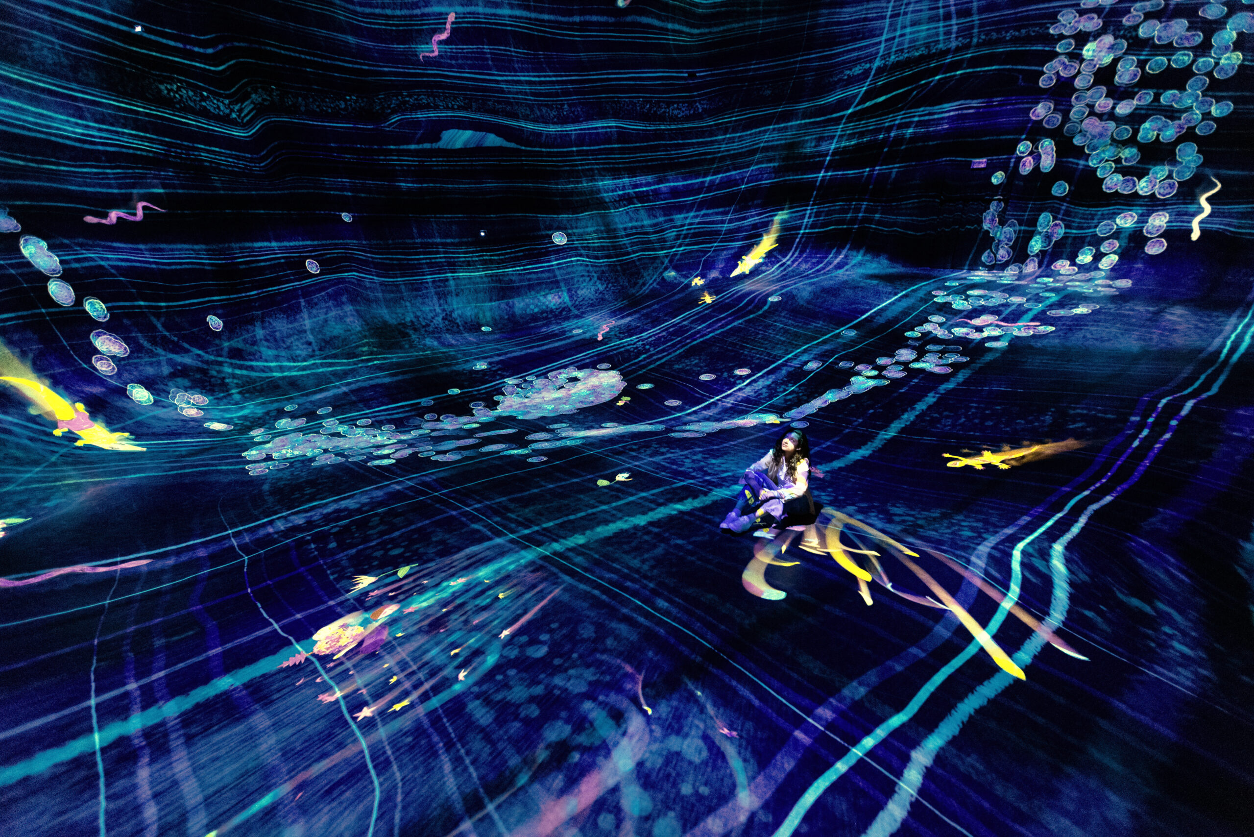 teamLab Phenomena
