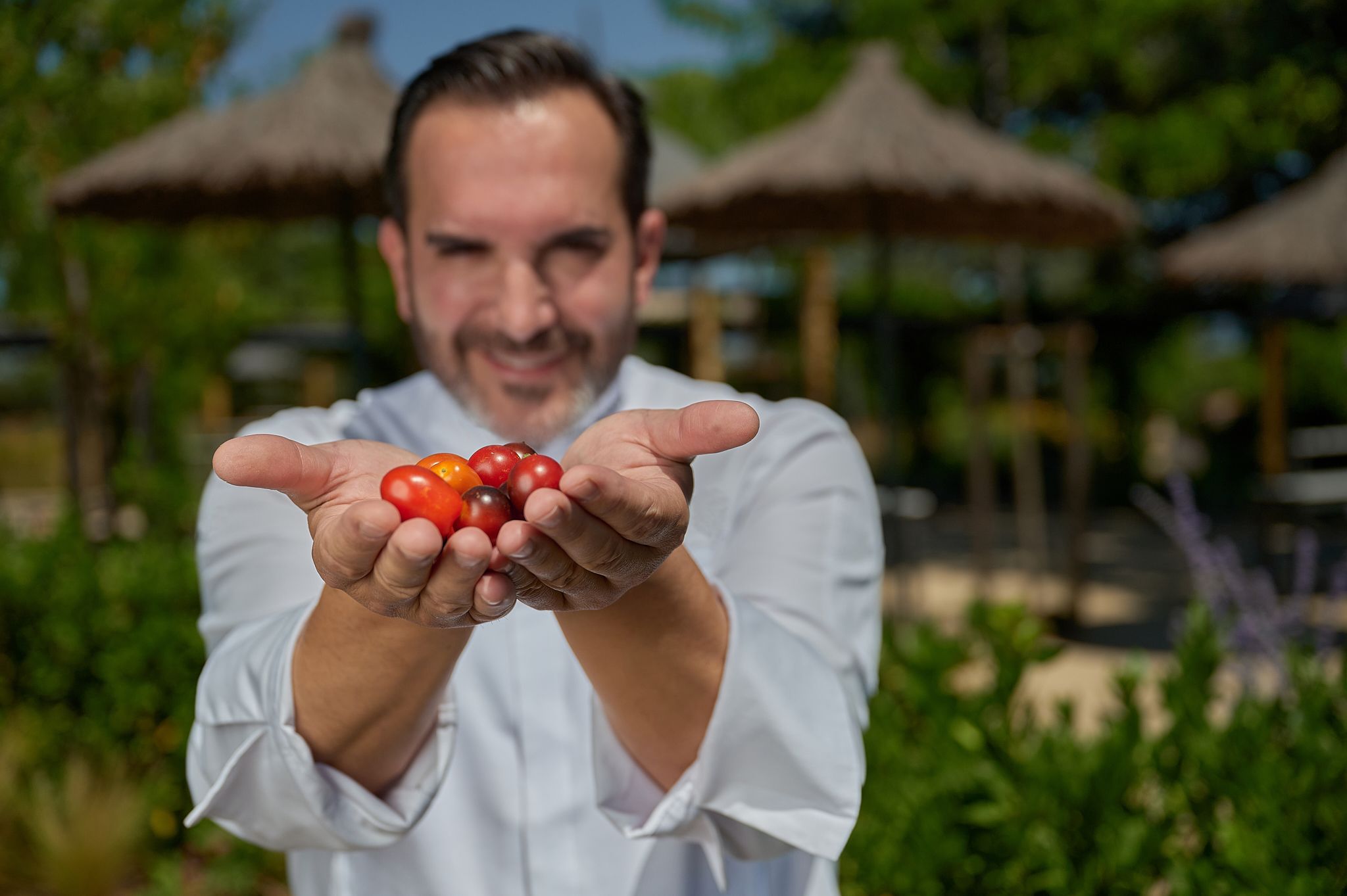 Chief holding baby tomatoes in his hands towards the camera