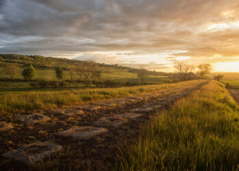 Photo shows part of the original Stockton & Darlington Railway line at sunset. The former railway line is now marked just by stones