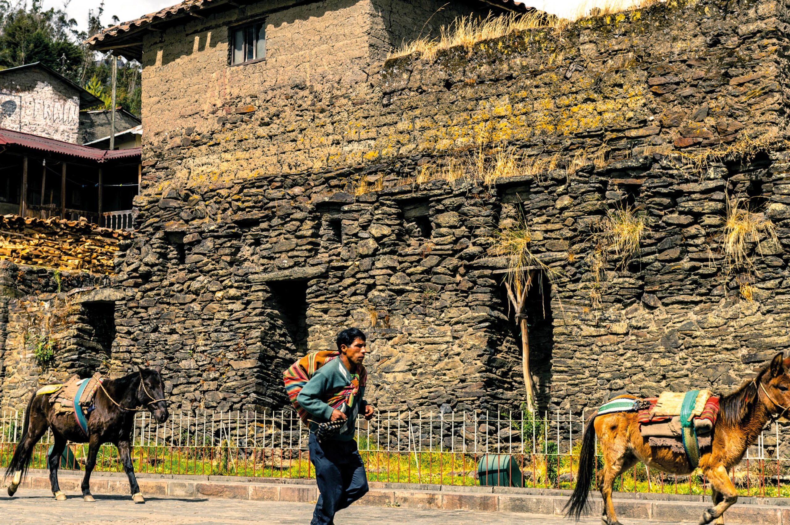 A man running next to the horses