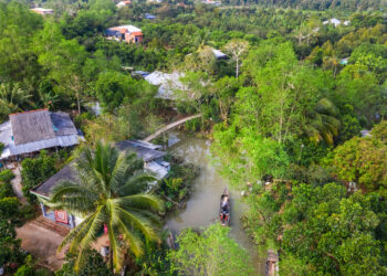 Aerial view of tourists on a basket boat tour at Tan Phong island
