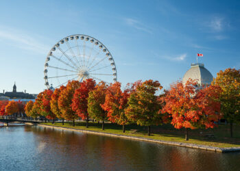 La Grande roue de Montreal Ferris wheel with the autumn foliage