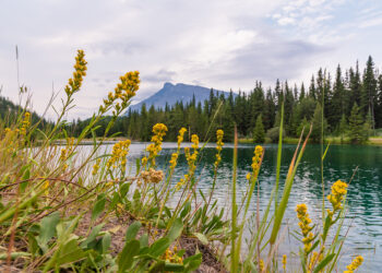 Cascade Ponds in Banff National Park