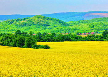 The Slavonia countryside is known for its patchwork of fields and award-winning vineyards