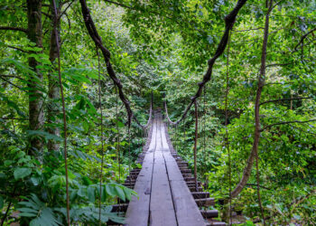 Hanging bridge over the river in Mtirala national park