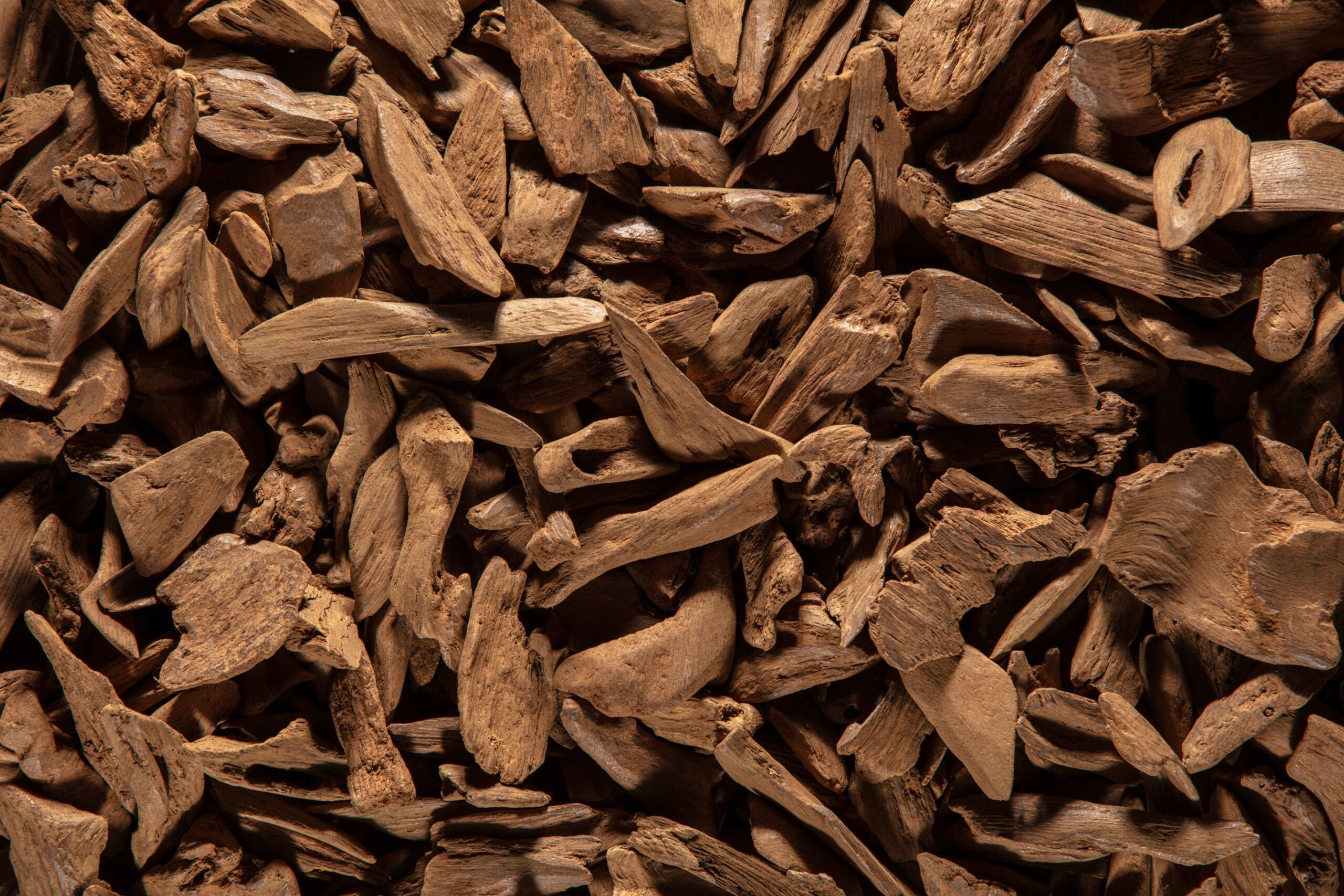 Barks of wood