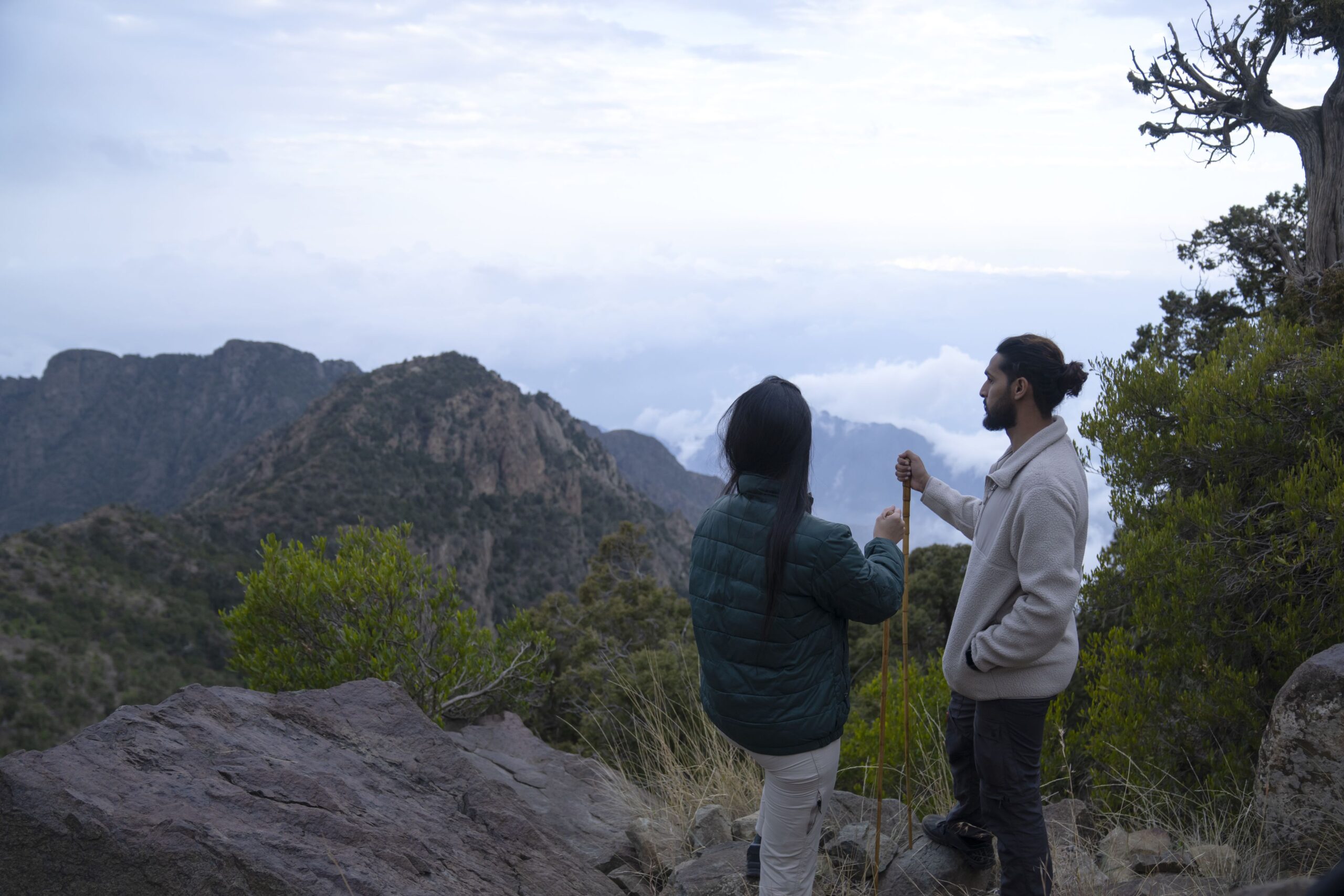 Two people standing at a viewpoint holding sticks