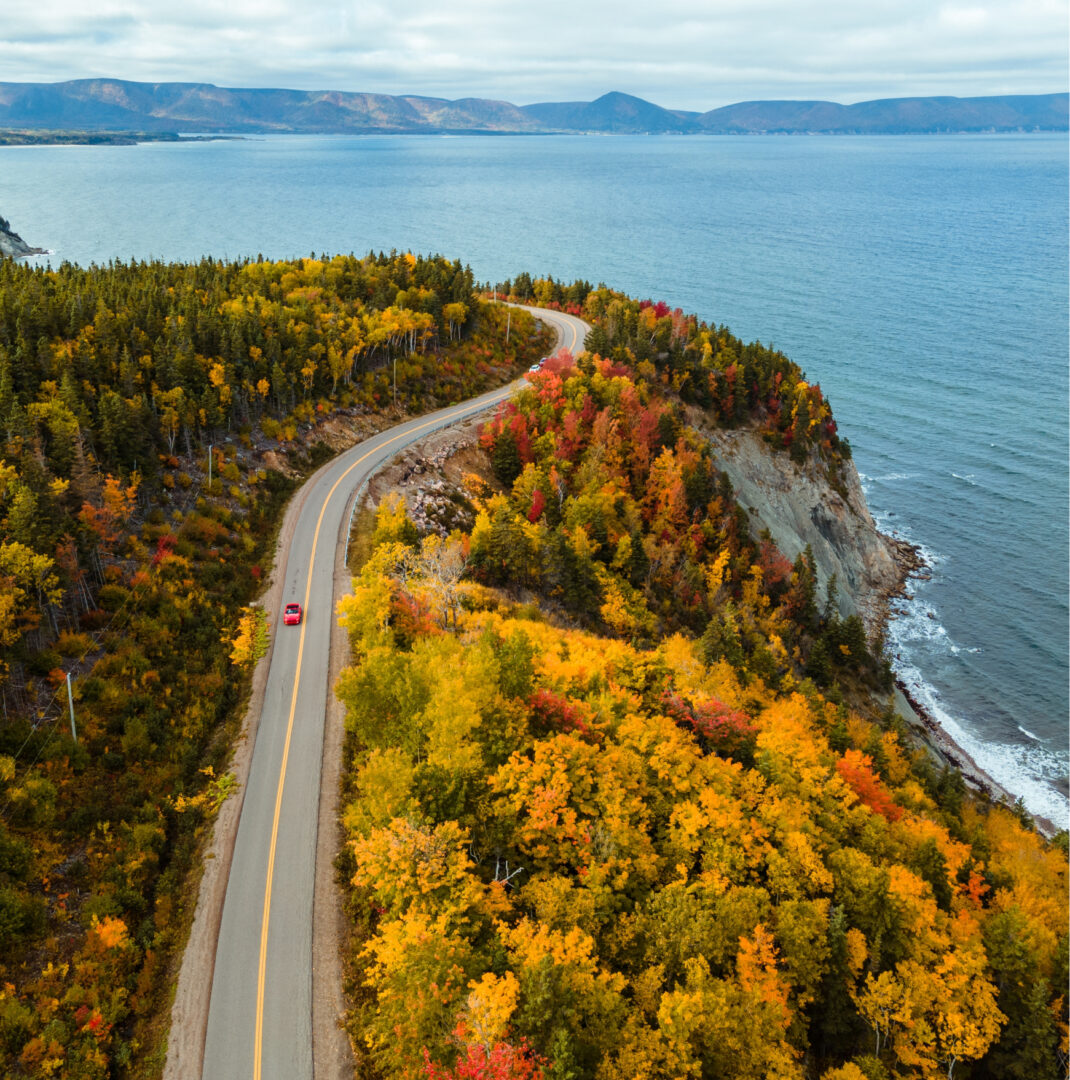 Aerial view of car driving on forest road in Nova Scotia, adjacent to water