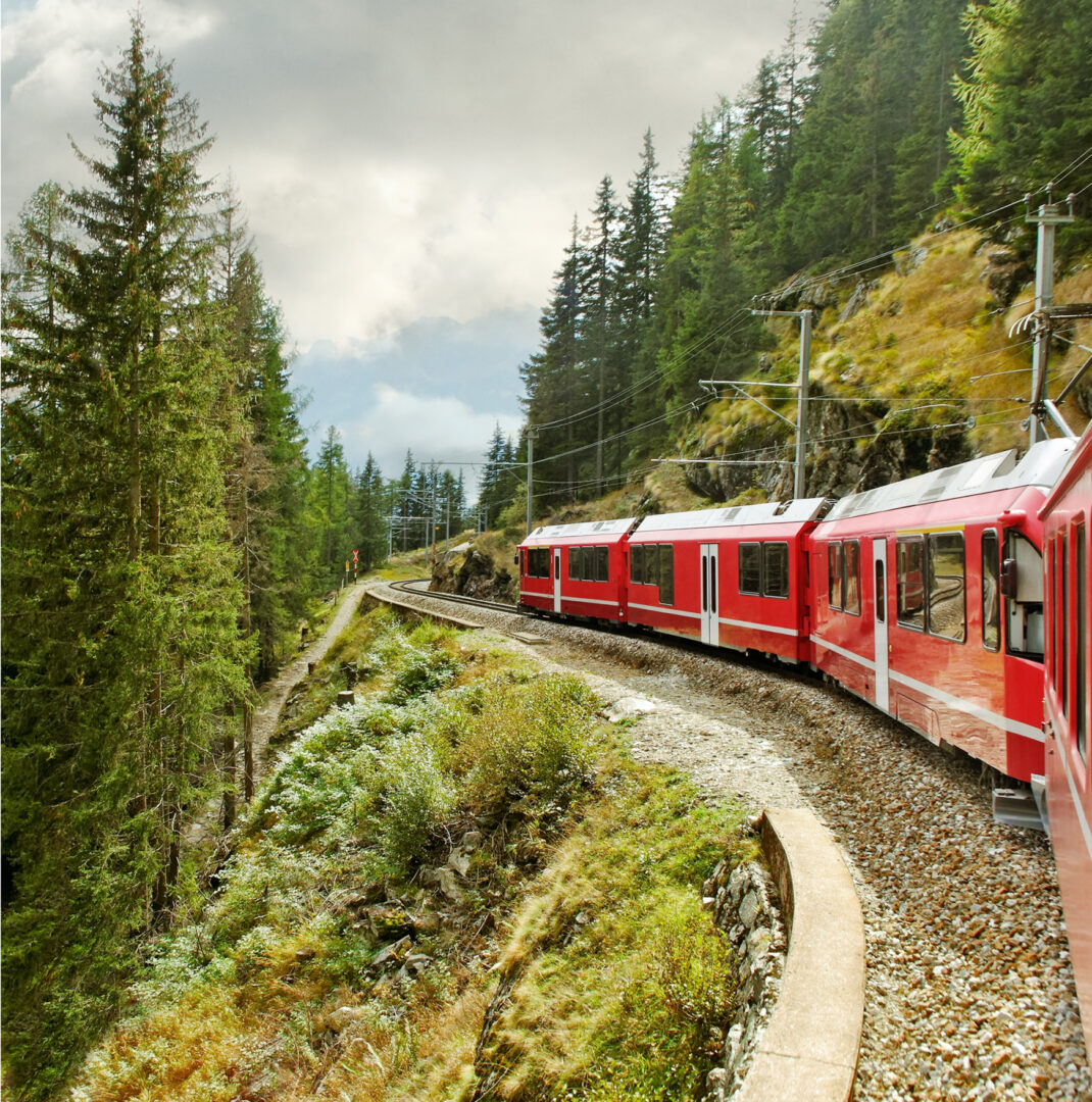 Scenic train ride through forested area