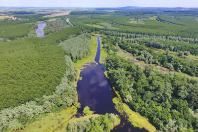 Kovilj swamp