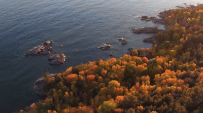 Aerial view of rural Michigan in fall