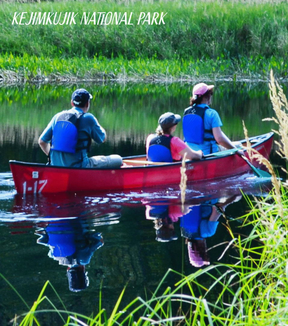 Family canoeing and admiring the view in Kejimkujik national park
