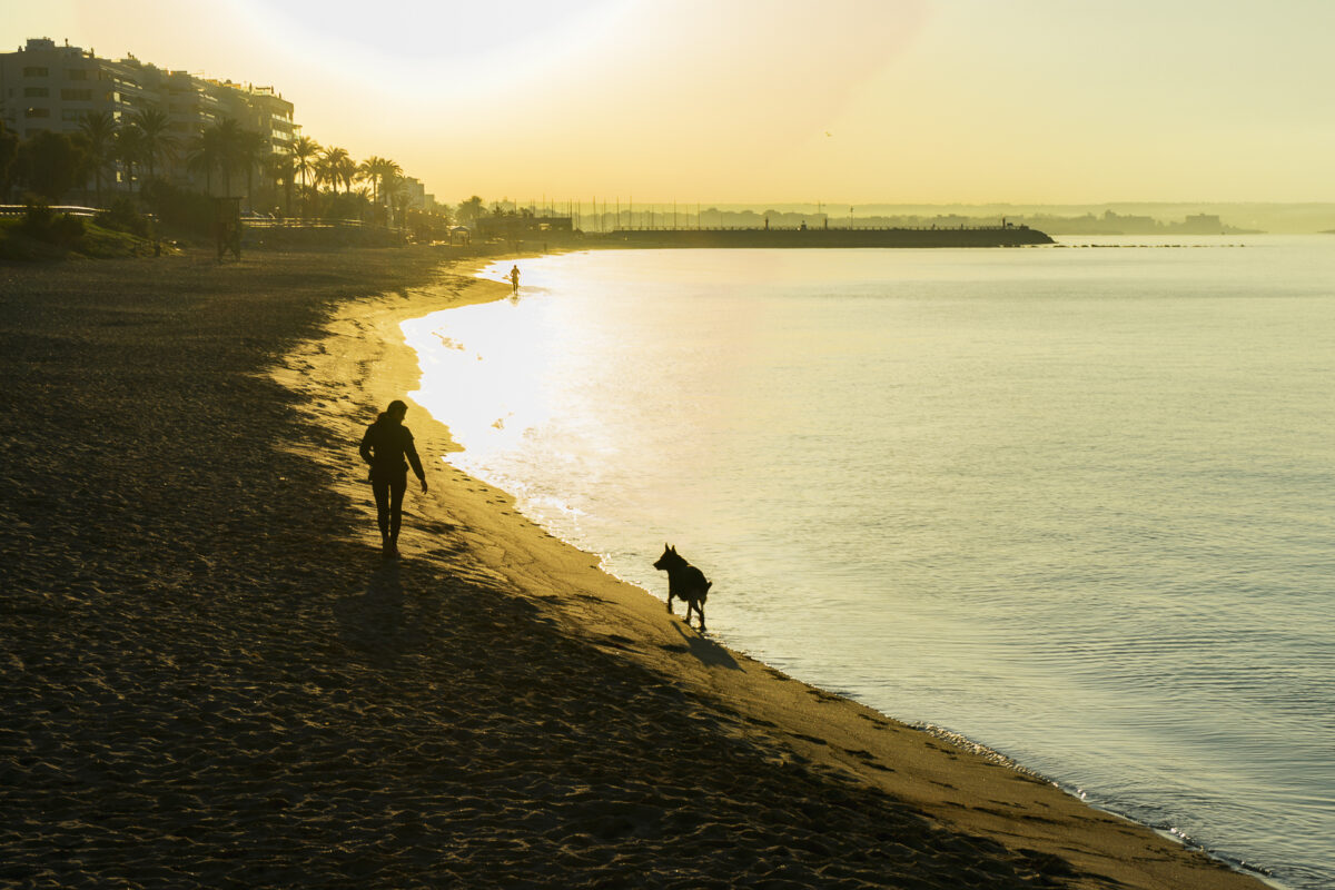 Walking dog on Playa de Palma