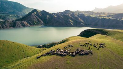 Mountain landscapes in Kurdistan