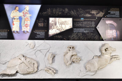 One of the new exciting exhibitions (Uzbekistan State Museum of History)