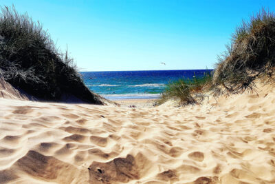 Tylösand Beach, Halland, Sweden (Shutterstock)